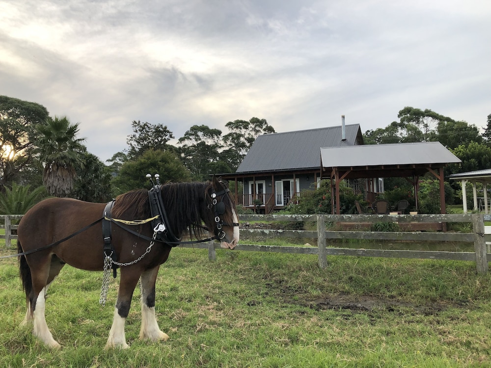 Peppergrove Cottage - Berry's Premier Farm Stay - Berry