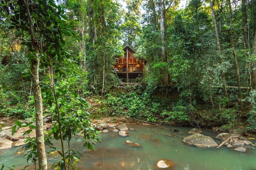 The Canopy Rainforest Treehouses And Wildlife Sanctuary - Malanda
