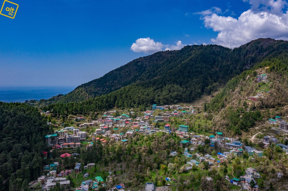 Alt Life - Dharamkot - Hostel - Himachal Pradesh