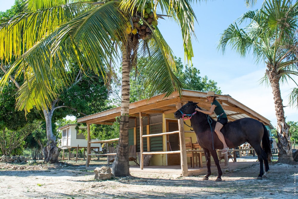 Wild Horse Cottage - Quintana Roo