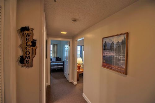 Grandfather Mountain State Park, Banner Elk airbnb, hotels and