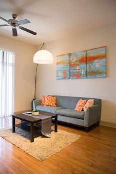 NRG Stadium Houston airbnb, hotels and vacation rentals