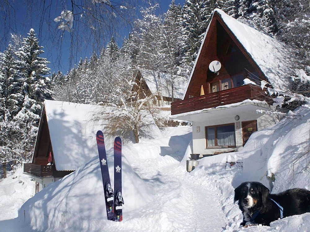 Small Pet-friendly Holiday Park With Nassfeld Card In High Season - Hermagor-Pressegger See