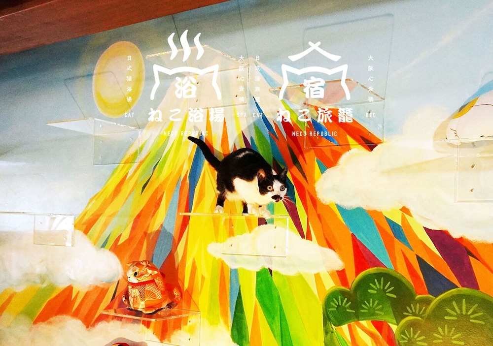 ねこ浴場 & ねこ旅籠 保護猫カフェ ネコパプリック大阪 - 難波