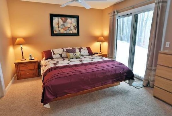 Comfy Trout Creek Condo #142 - 2 Bedrooms, 2 Baths With Kitchen, Fireplace. Pretty Wooded View - Petoskey, MI