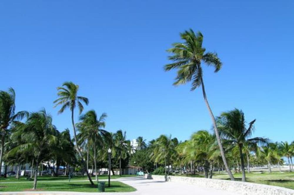 Frente A La Playa Estudio En Ocean Drive En South Beach-4 Plazas - South Beach, FL