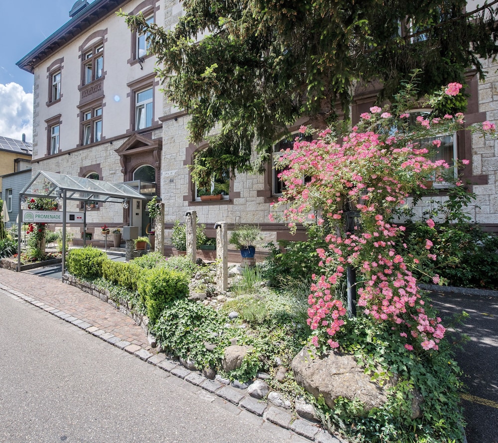 Hotel Promenade - Canton of Schaffhausen
