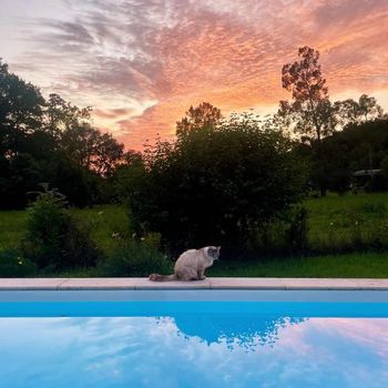 La Maison Aux Pieds Des Pyrénées - Piscine D'exception De 25m - Lourdes