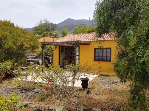 House with one bedroom in Los Llanos with wonderful mountain view shared pool and furnished garden 9 - El Paso