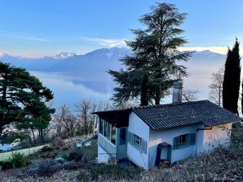 Lovely Villa In Lavaux With Unique View ! - Kanton Waadt