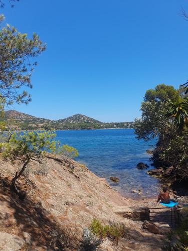 Entre Cannes Et Saint-tropez Site D'exception Agay Villa Pieds Dans L'eau Plage Privee - Agay