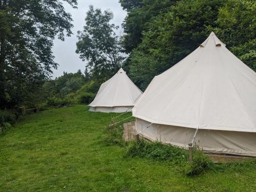 Belle Tent 2 - Shropshire