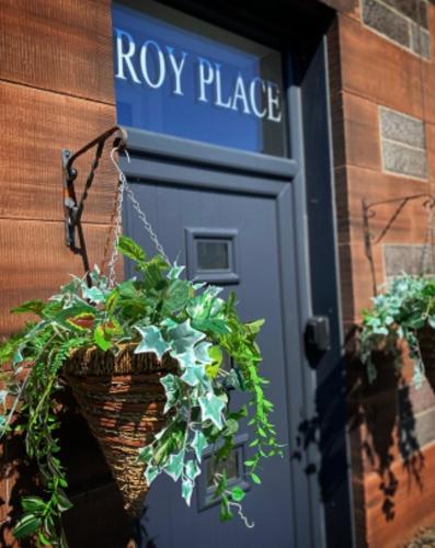 Roy Place Gdn Apartment - Campbeltown