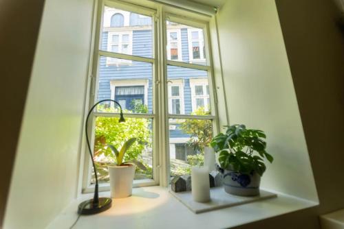 Dinbnb Homes I Cozy Cellar Apartment In Historical Cobblestone Street" - Bergen
