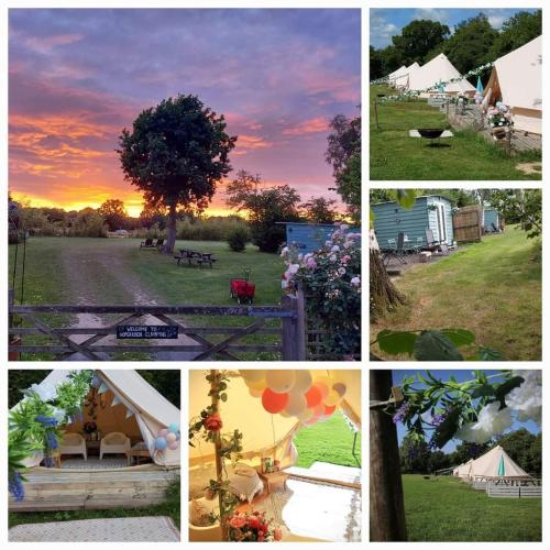 Hopgarden Glamping Exclusive Site Hire - Sleep Up To 50 Guests - Kent