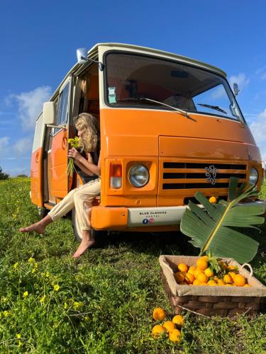 Rent A Blueclassics 'S Campervan Combi J9 En Algarve Au Portugal - Portimão