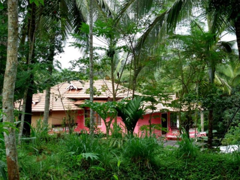 Spice Garden Farm House - Kerala