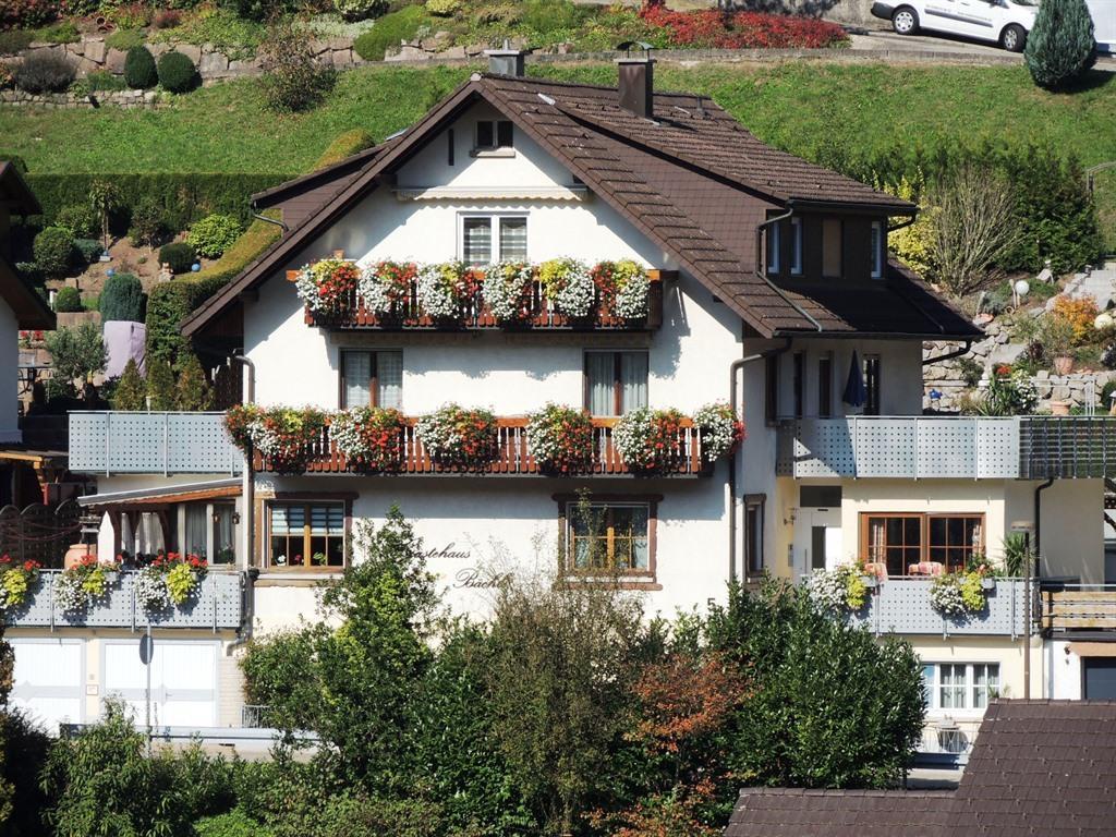 Gästehaus Bächle - Bad Peterstal-Griesbach