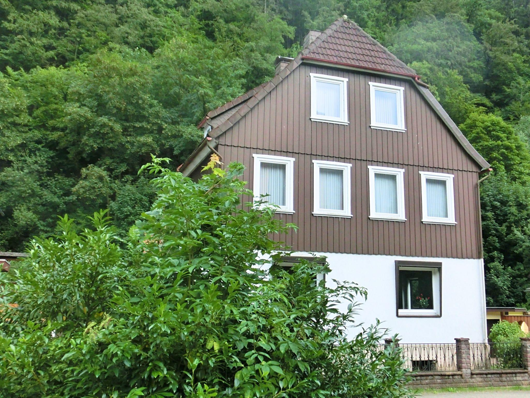 Detached Group House In The Harz Region With A Fenced Garden - Zorge