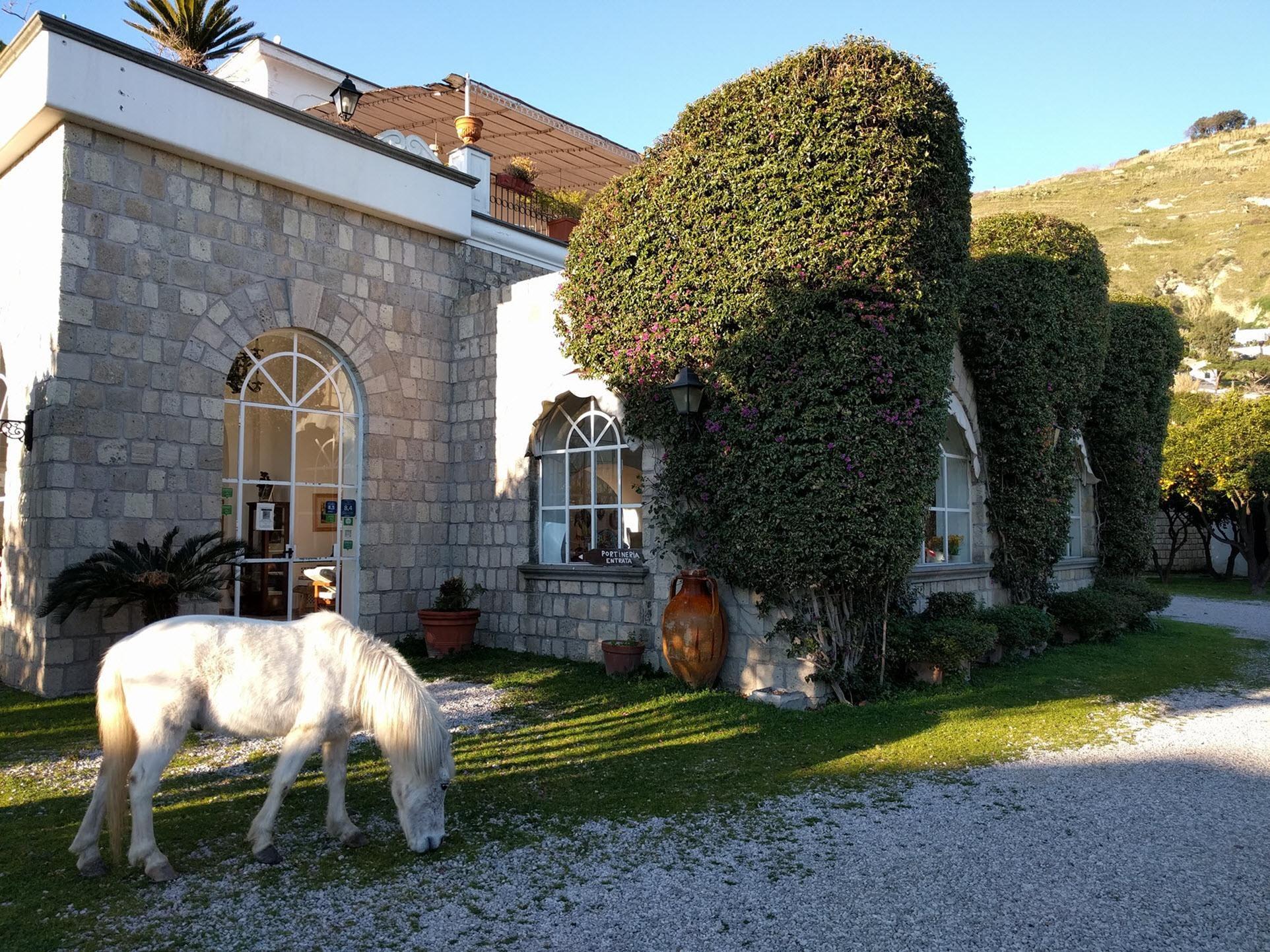 Tenuta Villa Tara - Ischia