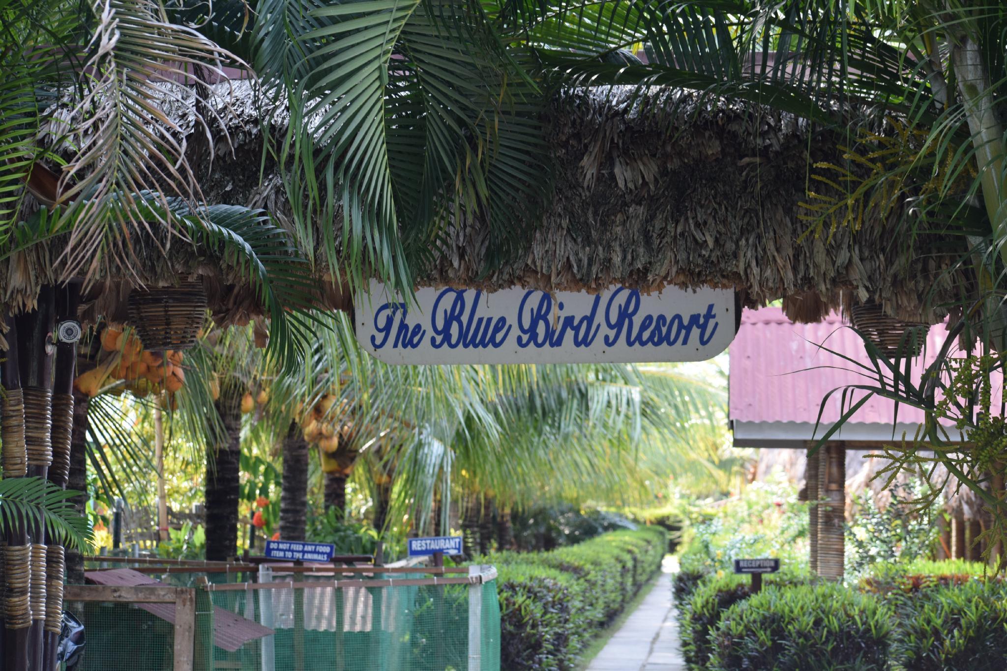 Blue Bird Resort - Havelock island (Swaraj Dweep)