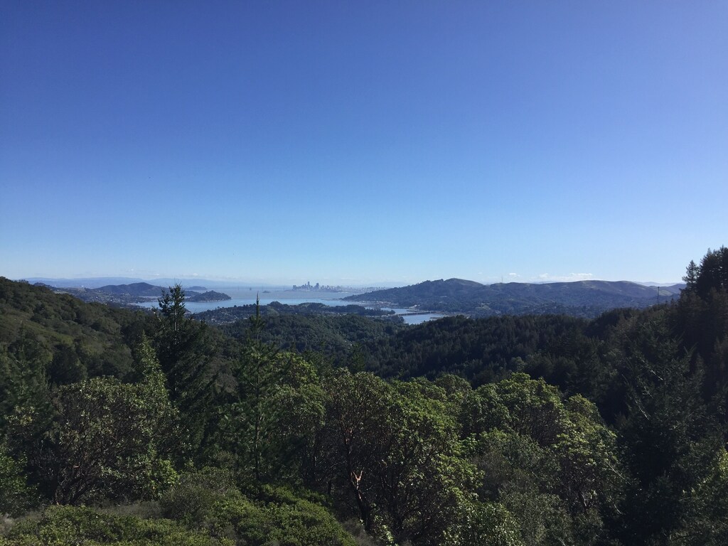 Private four bedroom home, minutes from town, views of sf - Corte Madera