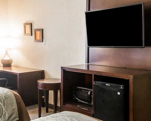 Comfort inn & suites - Pharr