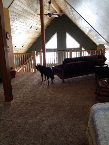 Enjoy our new house in historic leadville, including your pets. - Leadville