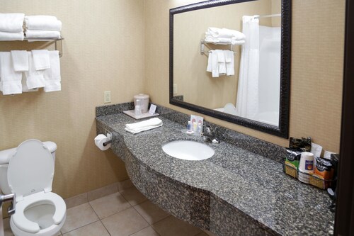 Comfort inn and suites - Iowa (State)