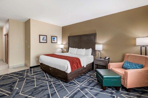Comfort Inn & Suites - Texas