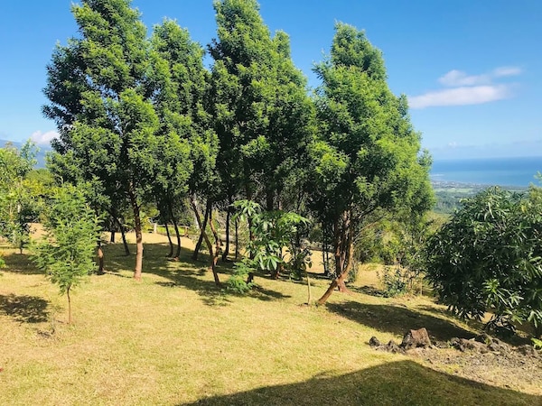 Gîte Villa De Montagne - La Réunion