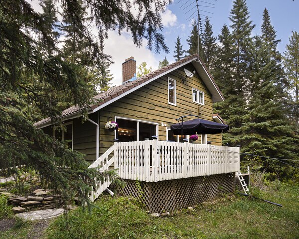 Relaxing Vacation House With A River View. Near Sundre, North Of Calgary. - Alberta