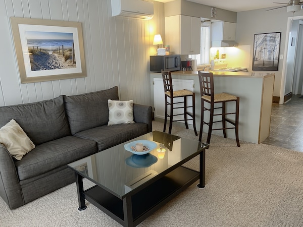 Park Point Apartment On The Beach Within Walking Distance Of Canal Park - Duluth, MN