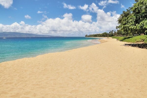 Maui's Best Beach, Best Golfing & Views In Calm Kaanapali Waters With A/c - Maui, HI