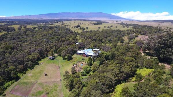 Forest Retreat Eco-lodge - 24 Acres Of Private Land. - Hawaii