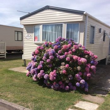Barton on Sea Holiday Parks and RV rentals cozycozy