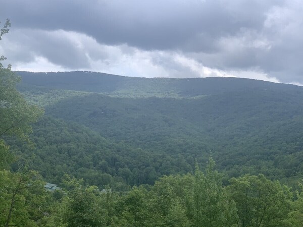 New Listing!  Secluded With Gorgeous Views - 4 Miles From Beech Mtn Ski Resort - North Carolina