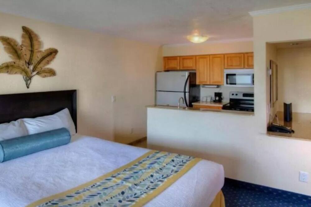Your Fun Packed Tampa Vacation! 2 Bay View Units, Balcony, Pool, Full Kitchen - Tampa, FL