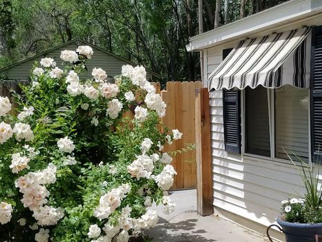 585 Grand Junction, CO Short Term and Weekly Rentals cozycozy