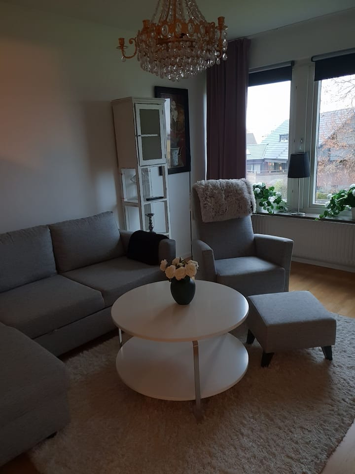 Trevlig liten lägenhet centralt i Lidköping. - Lidköping