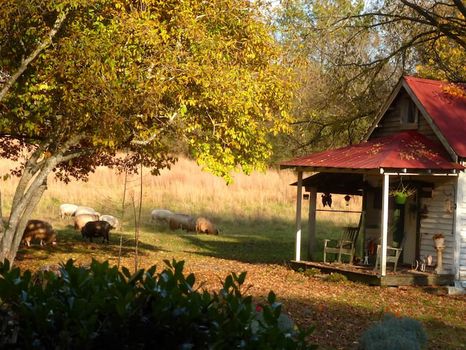 Dawson Lake, Kelso airbnb, hotels and vacation rentals