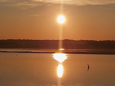 Bathurst Apartments and Condos For Rent cozycozy