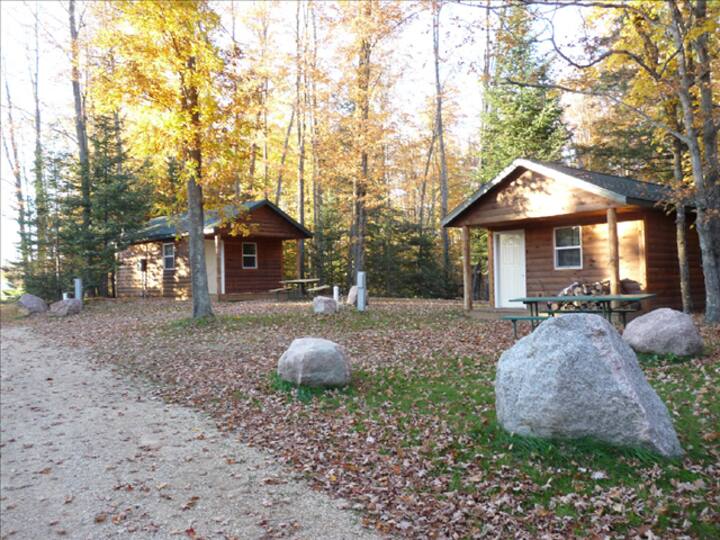 Back to nature cabin in a kid-Friendly FUN place. - Gresham, WI