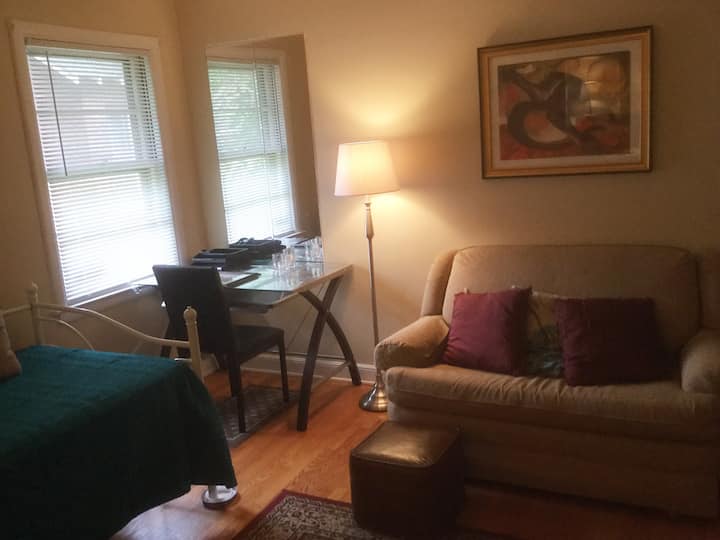 Spacious, comfy room in Beverly - Beverly - Chicago