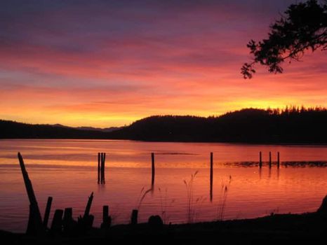 La Conner, WA Apartments and Condos For Rent cozycozy