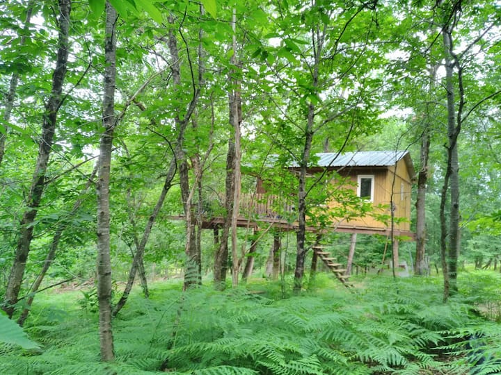 Cabane Dans Les Arbres - Lot
