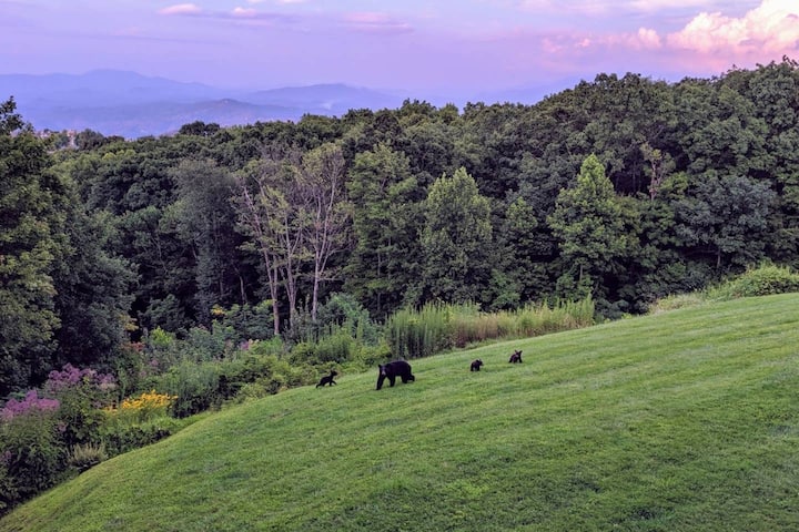 Smoky Bear Lookout  With Panoramic Mountain Views - Gatlinburg