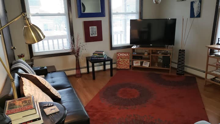 Pet-friendly apartment in downtown Red Wing - Red Wing