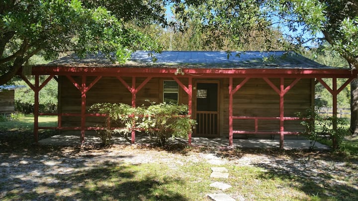 Cypress Cabin On Wildlife Sanctuary - Gainesville, FL