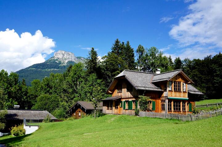  ALTAUSSEE LODGE - big, bright - pure living ! - Grundlsee
